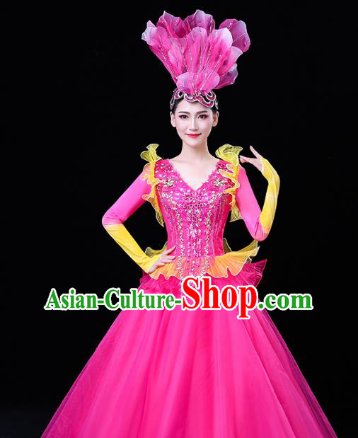 China Modern Dance Flower Dance Clothing Spring Festival Gala Opening Dance Rosy Veil Dress