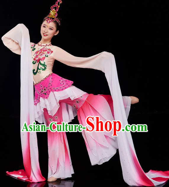 China Court Jing Hong Dance Clothing Classical Dance Dress Traditional Woman Water Sleeve Dance Costume