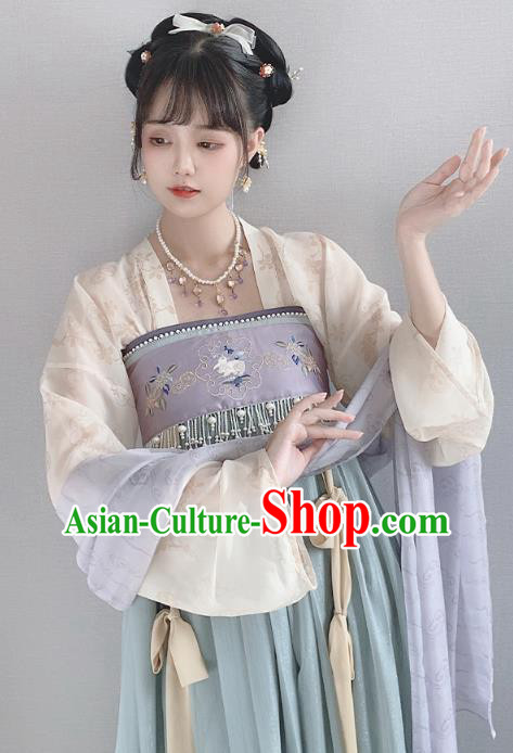China Ancient Palace Lady Hanfu Dress Garment Traditional Tang Dynasty Princess Historical Clothing Full Set