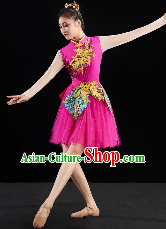 China Modern Dance Clothing Jazz Dance Rosy Dress Spring Festival Gala Performance Outfits