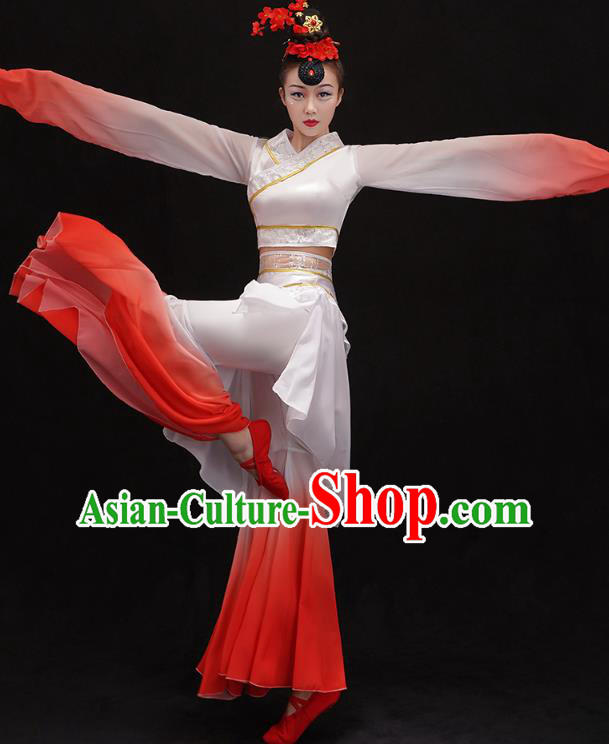 Chinese Umbrella Dance Outfits Classical Dance Performance Clothing Traditional Water Sleeve Cai Wei Dance Dress