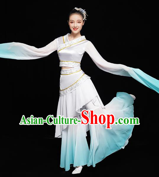 Chinese Classical Dance Performance Clothing Water Sleeve Dress Traditional Court Dance Costumes