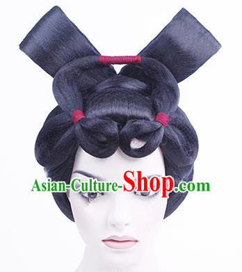 China Traditional Tang Dynasty Court Lady Performance Wigs Chignon Classical Dance Hair Accessories