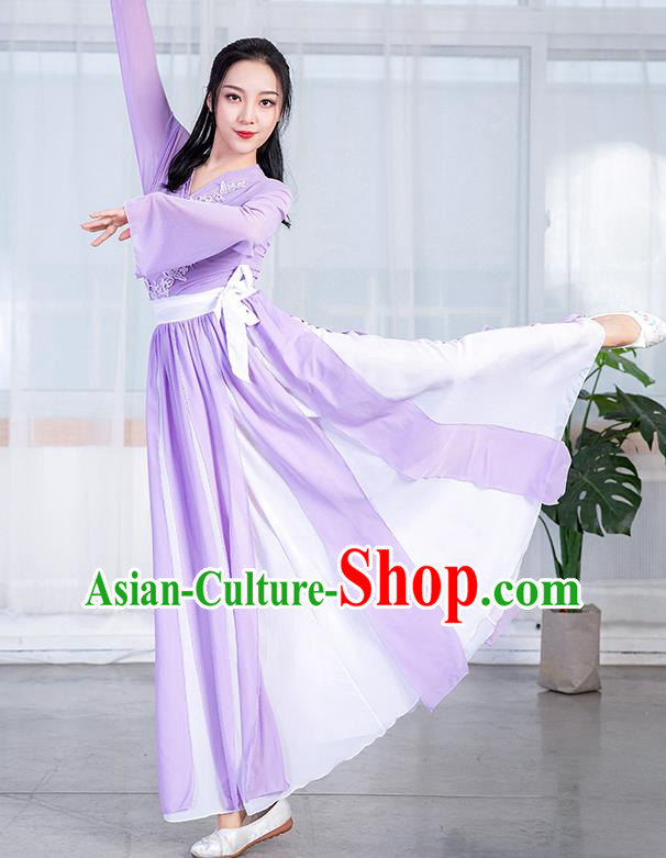 China Stage Performance Fashion Umbrella Dance Training Clothing Classical Dance Lilac Chiffon Dress