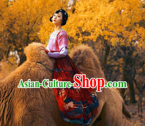 China Traditional Tang Dynasty Palace Lady Historical Clothing Ancient Young Woman Hanfu Dress