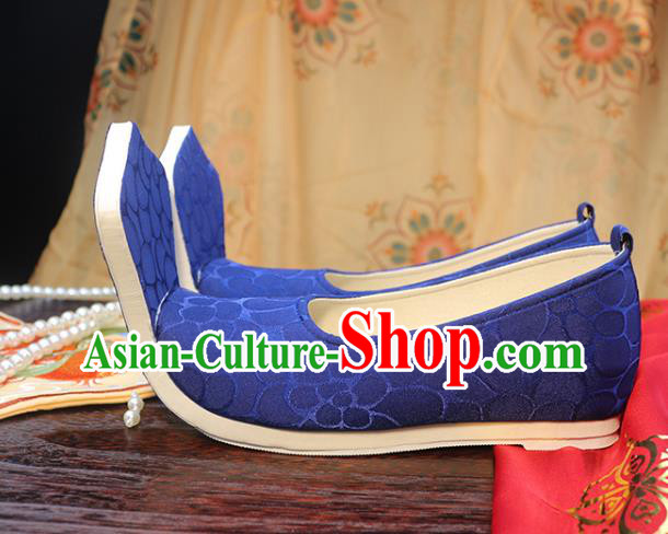 Chinese Ancient Princess Shoes Tang Dynasty Embroidered Shoes Royalblue Cloth Shoes Traditional Hanfu Shoes