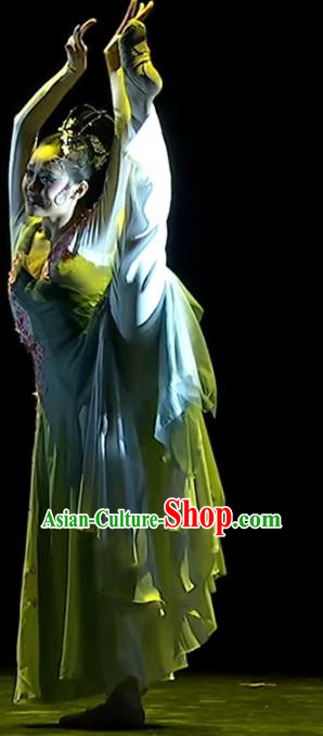 Top Chinese Woman Solo Dance Garment Costume Traditional Stage Performance Clothing Classical Dance Dress
