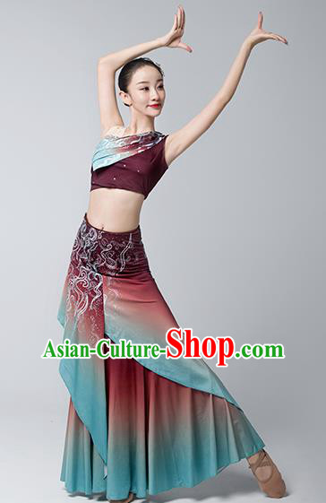 China Peacock Dance Maroon Dress Dai Nationality Folk Dance Clothing Yunnan Ethnic Stage Performance Garments