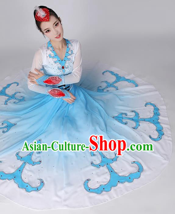 Top Chinese Woman Swan Dance Garment Costume Traditional Dance Performance Clothing Classical Dance Blue Dress Outfits