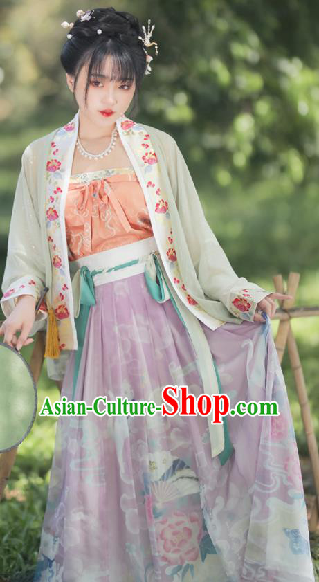 China Traditional Song Dynasty Historical Clothing Ancient Young Lady Embroidered Dress Hanfu Garments