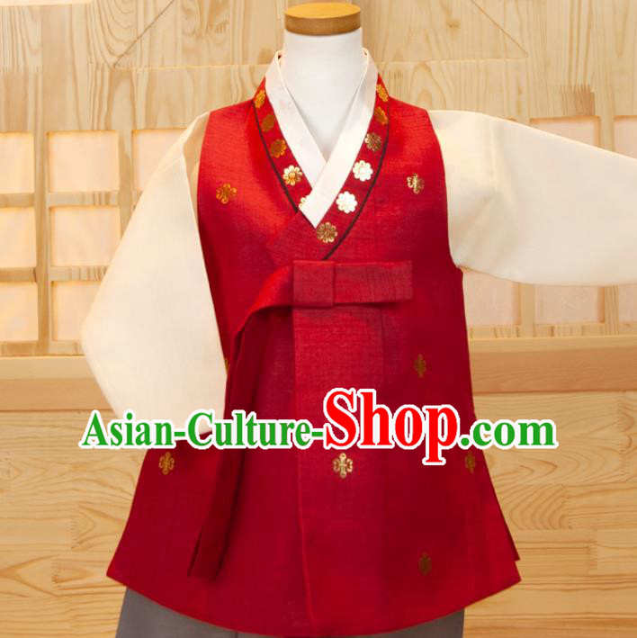 Korea Children Garment Costumes Boys Birthday Hanbok Korean Traditional Fashion Clothing Red Vest White Shirt and Grey Pants