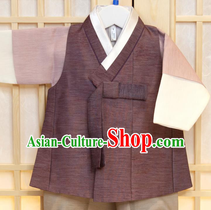 Korean Children Garment Purple Vest Pink Shirt and Grey Pants Boys Prince Birthday Hanbok Costumes Korea Traditional Fashion Clothing