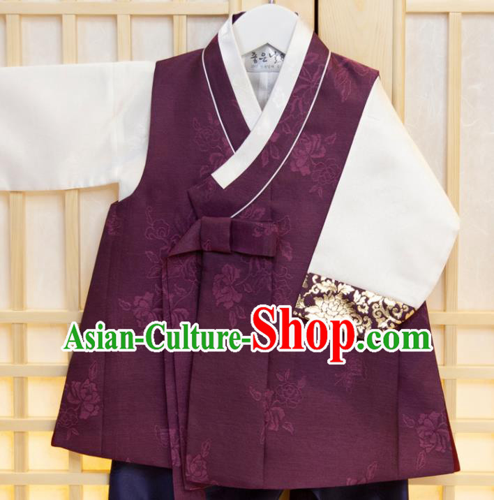 Korean Traditional Fashion Clothing Children Garment Purple Vest White Shirt and Navy Pants Korea Boys Prince Birthday Hanbok Costumes