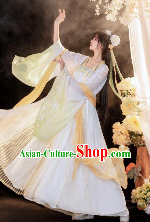 China Traditional Tang Dynasty Palace Beauty Garment Costumes Ancient Fairy Hanfu Dress Clothing