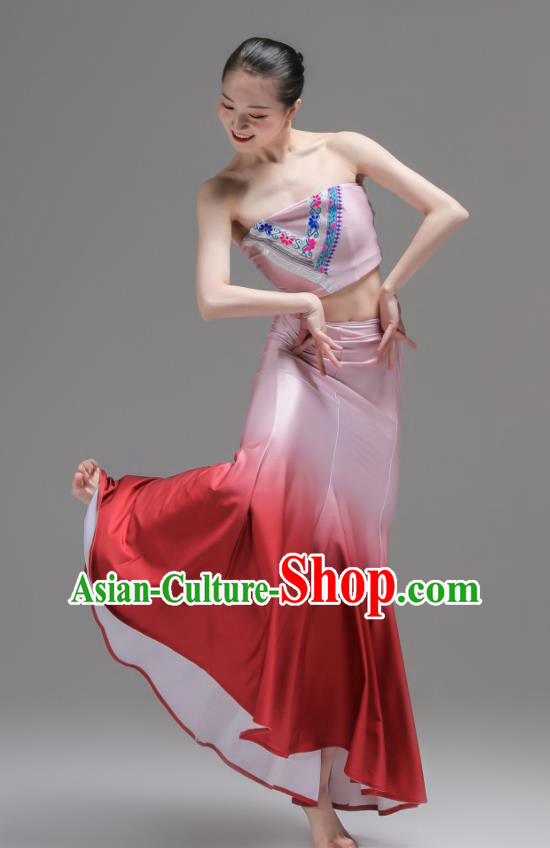 Chinese Yunnan Nationality Clothing Peacock Dance Costumes Ethnic Woman Garments Dai Minority Performance Pink Dress Outfits