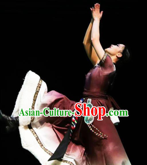 Chinese Zang Nationality Woman Dance Clothing Traditional Ethnic Stage Performance Brown Dress Outfits Tibetan Minority Dance Apparels