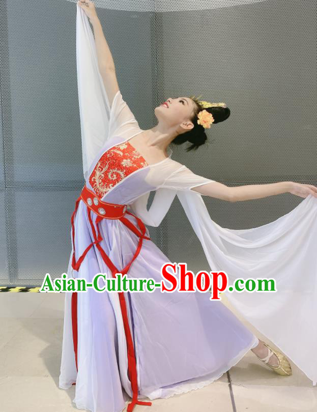 China Moon Fairy Dance Costumes Women Group Dance Clothing Classical Dance Lilac Dress Stage Performance Outfits