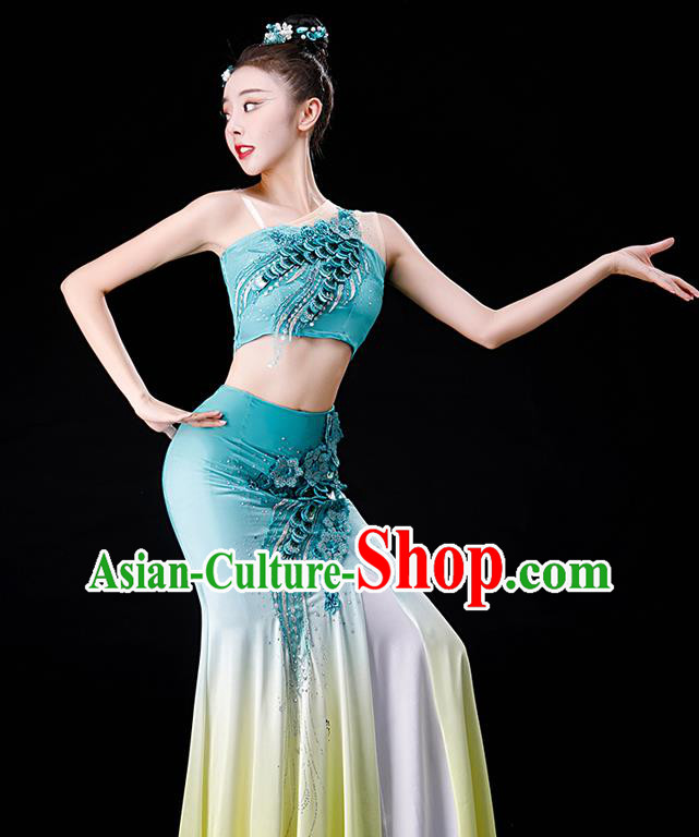 Chinese Yunnan Folk Dance Garment Costumes Ethnic Peacock Dance Blue Dress Outfits Dai Nationality Female Performance Clothing