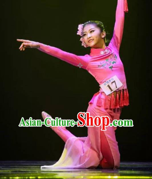 China Fan Dance Costumes Yangko Dance Outfits Women Group Dance Fashions Folk Dance Rosy Uniforms