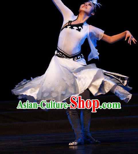 Chinese Stage Performance White Dress Outfits Swan Dance Clothing Classical Dance Garment Costumes
