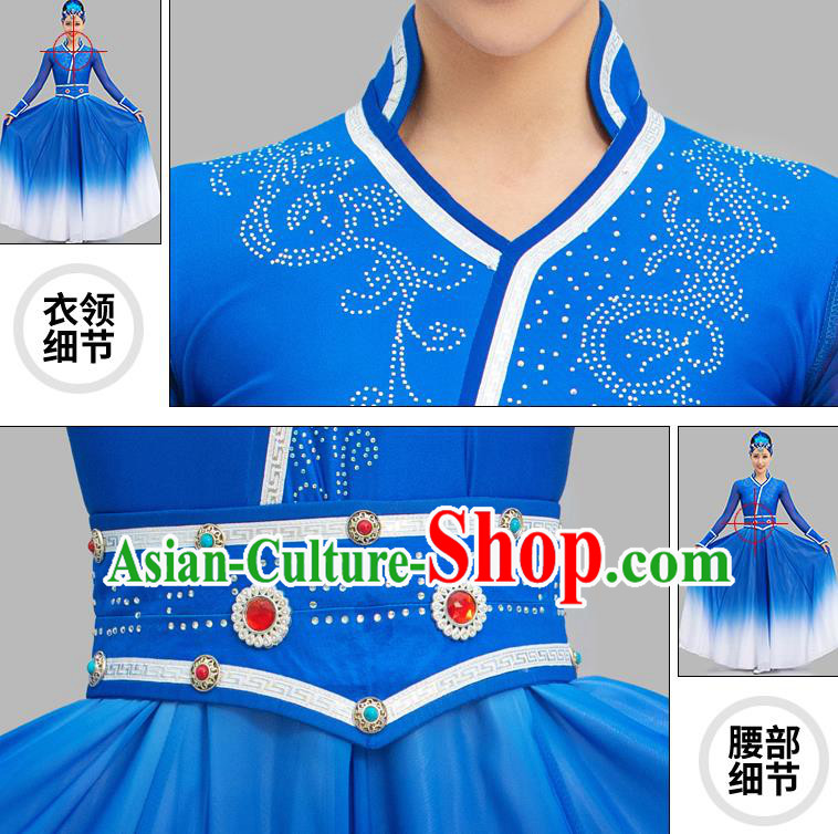 Chinese Mongolian Dance Blue Dress Ethnic Dance Suit Dunhuang Mongol Nationality Dance Garment Costume