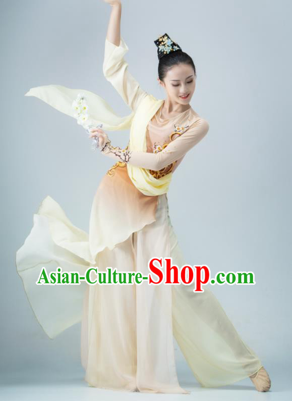 Chinese Dance Competition Clothing Classical Dance Costume Umbrella Dance Apricot Dress