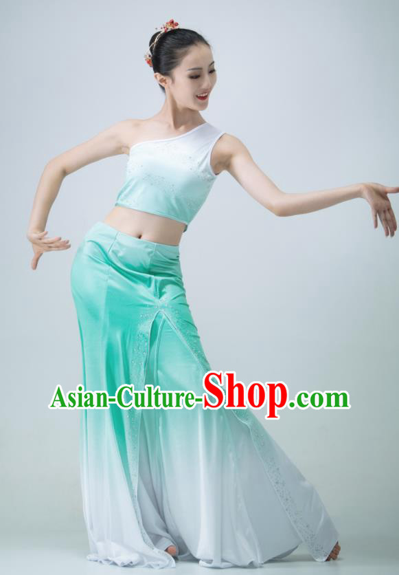 Chinese Stage Performance Garment Peacock Dance Clothing Dai Nationality Pavane Costume Classical Dance Green Dress