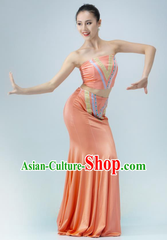 Chinese Classical Dance Dress Stage Performance Garment Peacock Dance Clothing Dai Nationality Pavane Costume