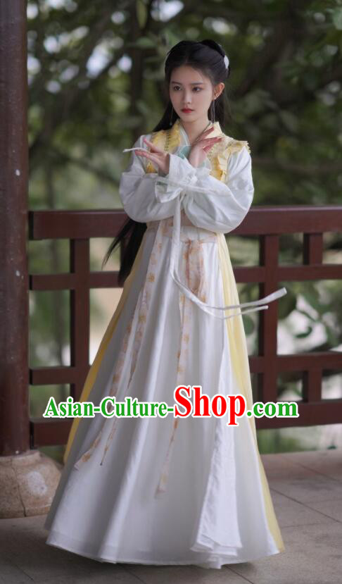 Chinese TV Series Chinese Paladin Zhao Ling Er Garment Costumes Ancient Fairy Princess Dresses