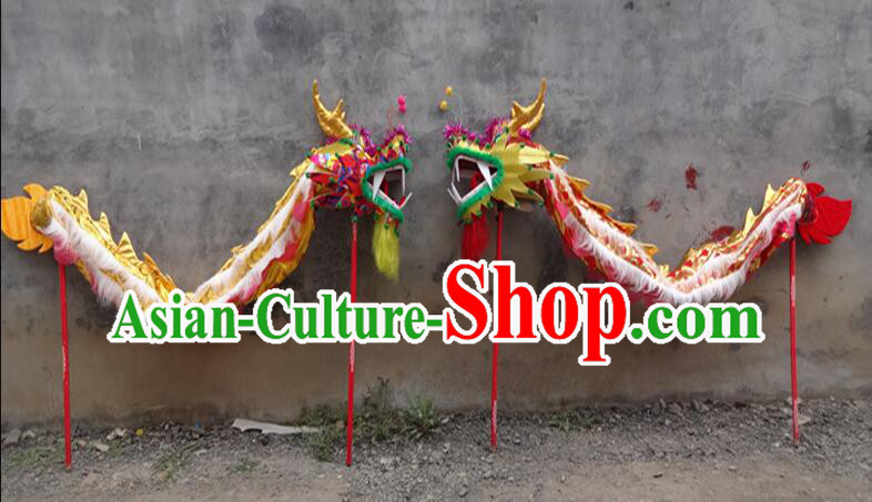 Top Dragon Dance Prop Costume for 2 Persons