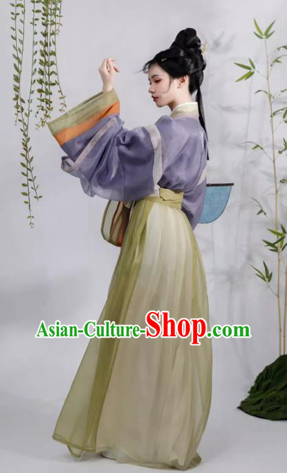 China Traditional Jin Dynasty Royal Princess Hanfu Dresses Ancient Goddess Costumes