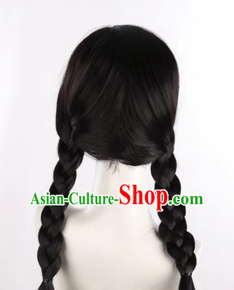 Black Middle Parted Braided Cos Wig