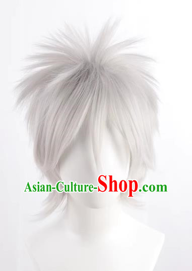 Silver Gray Hatake Kakashi Style Fluffy Men's Short Hair Cosplay Wig