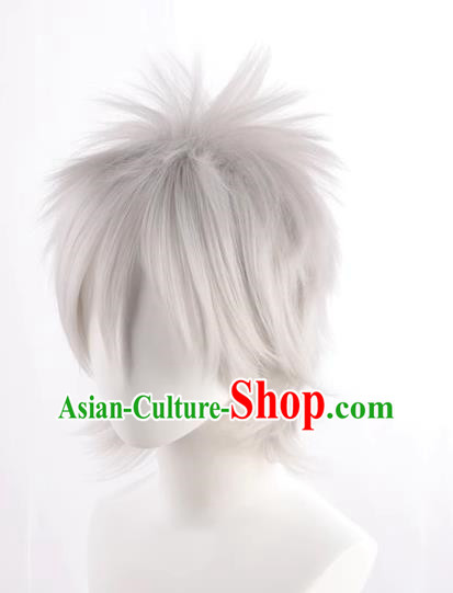 Silver Gray Hatake Kakashi Style Fluffy Men's Short Hair Cosplay Wig