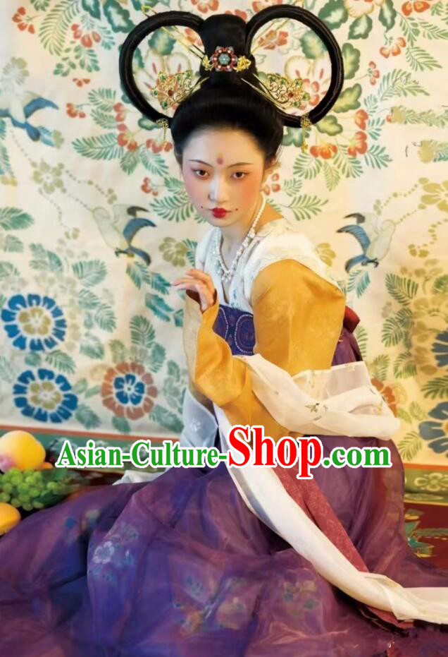 Chinese Tang Dynasty Princess Garments Ancient Young Lady Costumes Classical Dance Hanfu Dress