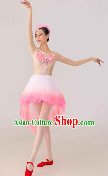 China 2021 Spring Festival Gala Crested Ibises Costume Modern Dance Clothing Dancing Competition Pink Dress