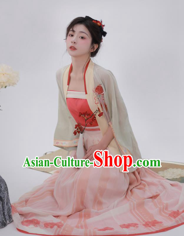China Traditional Female Hanfu Dress Ancient Young Lady Costumes Song Dynasty Embroidered Clothing Complete Set