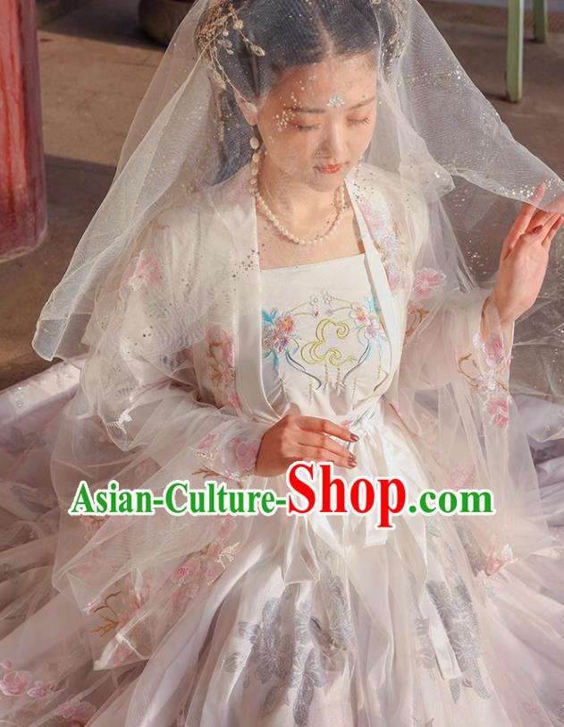 Ancient China Fairy Costumes Song Dynasty Woman Clothing Traditional Hanfu Liu Xian Dress