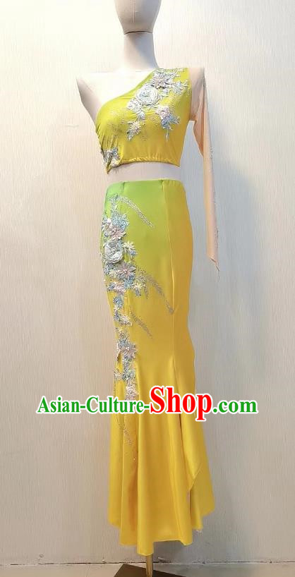 Ethnic Performance Costumes Ethnic Minority Dance Costumes Stage Performance Costumes Dai Art Examination Costumes