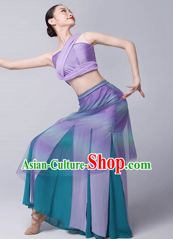 Art Examination Peacock Dance Practice Skirt Dai Dance Costume Female National Dance Performance Clothing