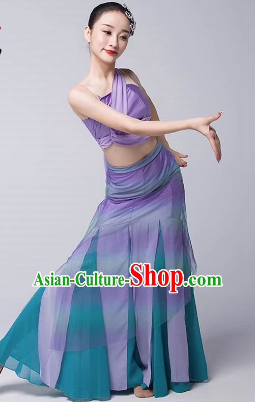 Art Examination Peacock Dance Practice Skirt Dai Dance Costume Female National Dance Performance Clothing