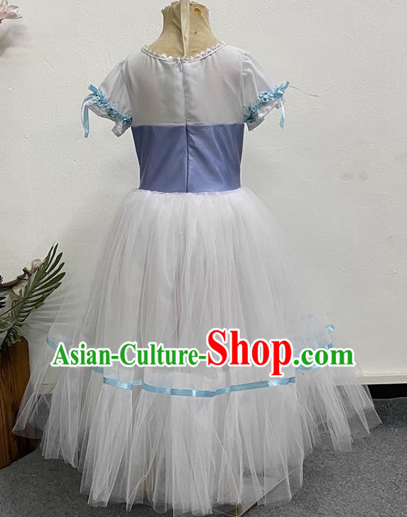 Children Princess Dress Elegant Gauze Dress Performance Dance Costume