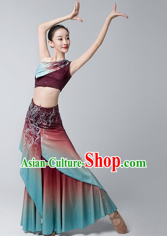 Dai Costume Female Practice Dance Performance Clothing Art Test Practice Skirt Adult Peacock Fishtail Skirt Performance Clothing