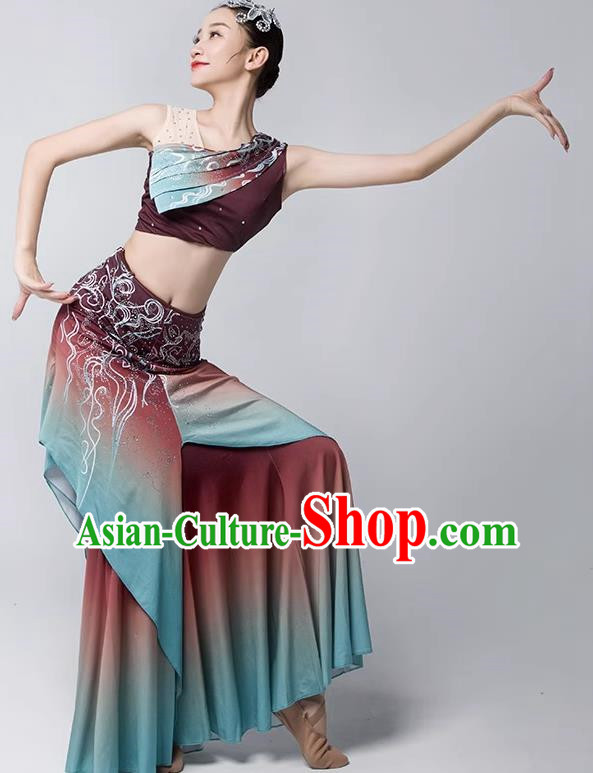 Dai Costume Female Practice Dance Performance Clothing Art Test Practice Skirt Adult Peacock Fishtail Skirt Performance Clothing