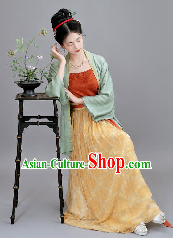 China Traditional Costumes Ancient Young Mistress Silk Dresses Woman Hanfu Song Dynasty Imperial Consort Clothing