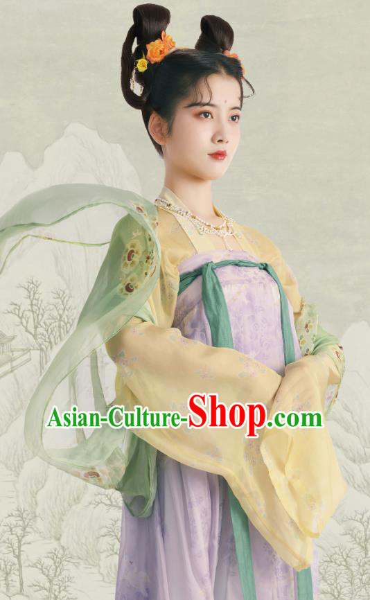 Chinese Ruqun Woman Hanfu Tang Dynasty Court Lady Clothing Ancient Princess Dress Costumes