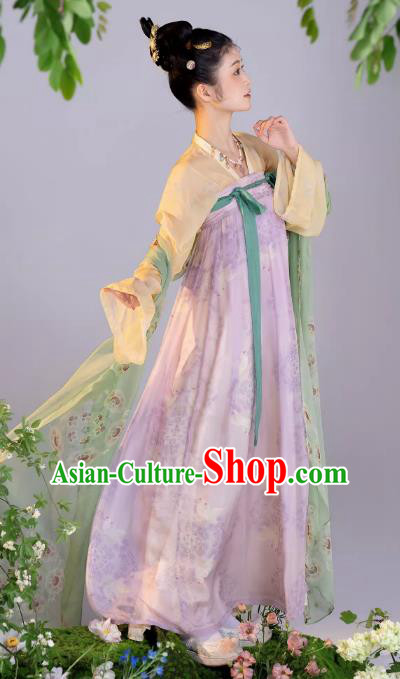 Chinese Ruqun Woman Hanfu Tang Dynasty Court Lady Clothing Ancient Princess Dress Costumes