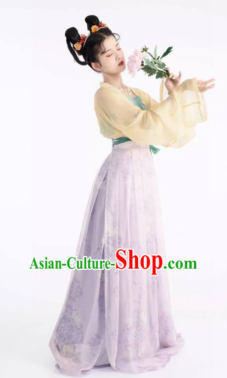 Chinese Ruqun Woman Hanfu Tang Dynasty Court Lady Clothing Ancient Princess Dress Costumes