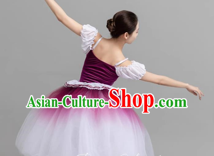 Children Spring And Summer Gauze Skirt Gradient Middle Child Long Princess Lace Stage Costume Performance Costume Li Dress Skirt