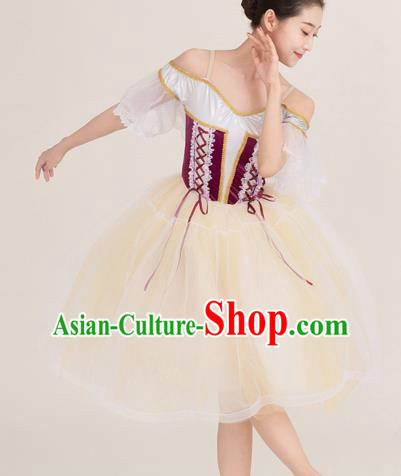 Long Skirt Lace Palace Lace Dance Skirt Performance Costume Stage Costume